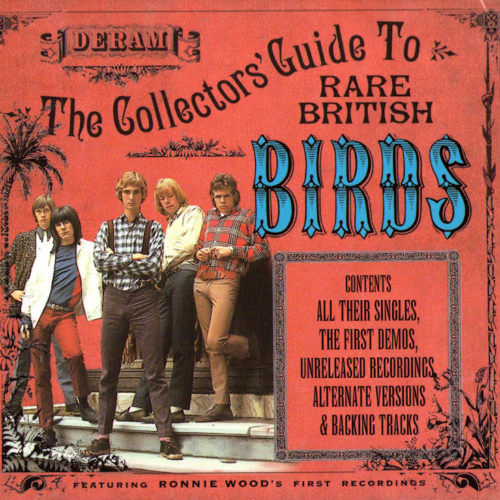 THE COLLECTOR’S GUIDE TO RARE BRITISH BIRDS